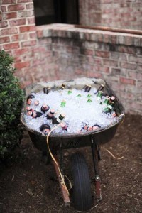 DIY ideas for garden