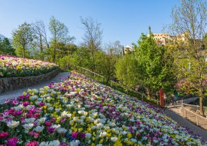 Beautiful Gardens of Italy Trauttmansdorff Castle