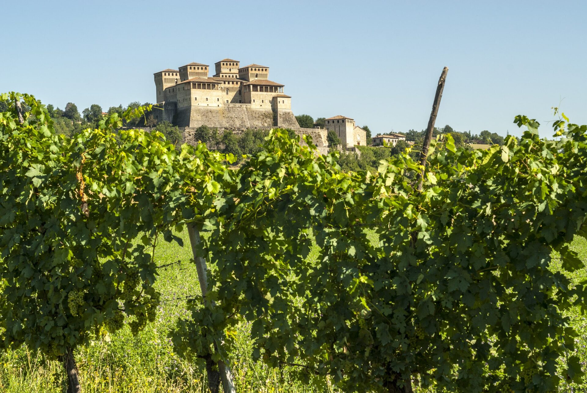The Castle of Torrechiara and vineyard, Emilia Romagna