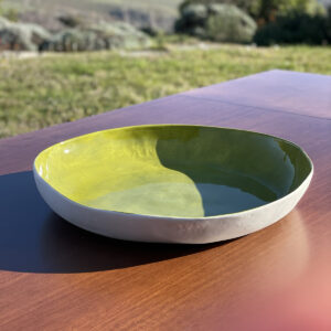 hand painted Limoges porcelain bowl in green colour displayed on a table