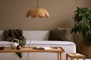 Modern living room with nature inspired accents